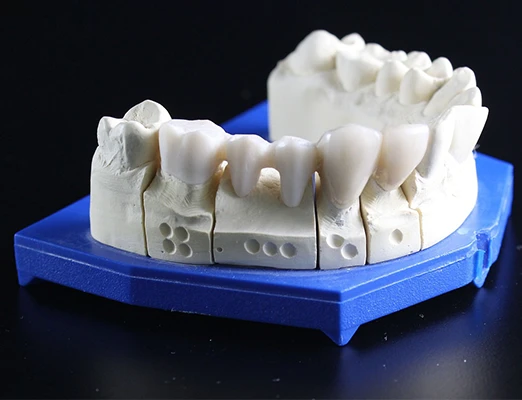 Muestra de Pieza Dental de Resina Elastomérica Y Compatible Biomed